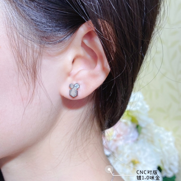 Earrings&Ear studs