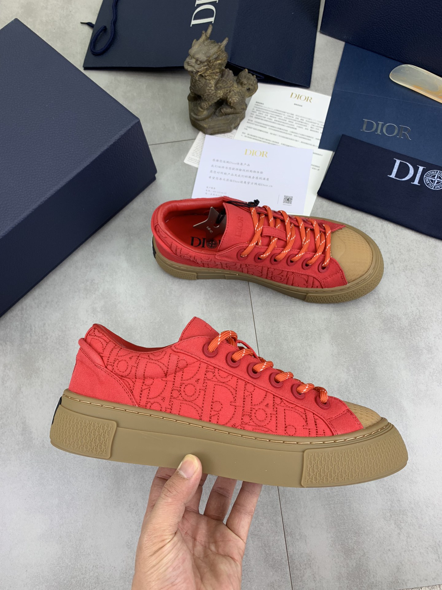 DiorSHOES